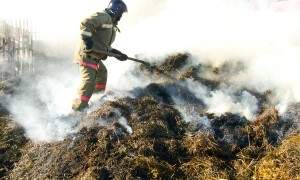 В Татарском районе сгорели стог сена и баня