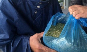 Новости: В Татарске осужден любитель покурить марихуаны