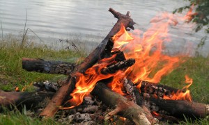 Новости: МЧС предупреждает о высокой пожароопасности в Татарском и Усть-Таркском районах