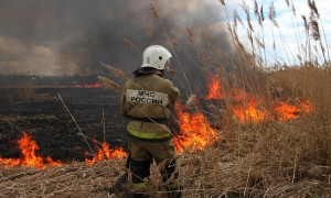 Новости: В Татарском и Усть-Таркском районах сохраняется наивысший класс пожароопасности