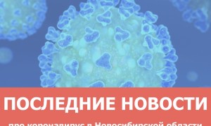 Новости: В Новосибирской области от коронавирусной инфекции за сутки скончались семь человек 