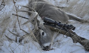 Новости: В Чистоозерном районе по следам шин отследили браконьера