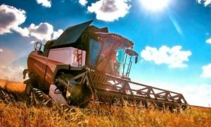 Новости: Сельхозпредприятиям Татарского района требуются специалисты