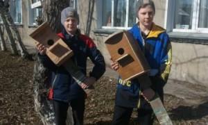 Новости: В Татарском районе школьники и детсадовцы сделали скворечники для птиц