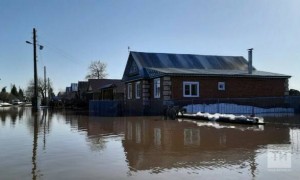 Новости: В администрации Татарска разъяснили, чем опасен весенний паводок и как его пережить