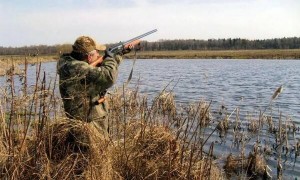 30 апреля в Татарском, Усть-Таркском и Чановском районах откроется весенняя охота на птиц