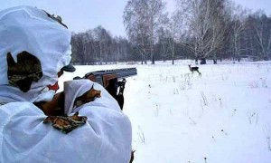 Новости: В Татарске осудили браконьеров и охотоведа, который им помогал