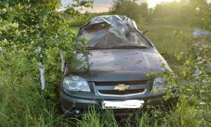 В Чановском районе слетел в кювет и погиб водитель Нивы 