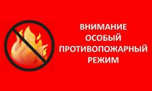 Особый противопожарный режим вводится в Татарском и Усть-Таркском районах